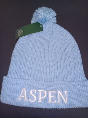 ASPEN wild fable Light Blue Pom Knit Hat.